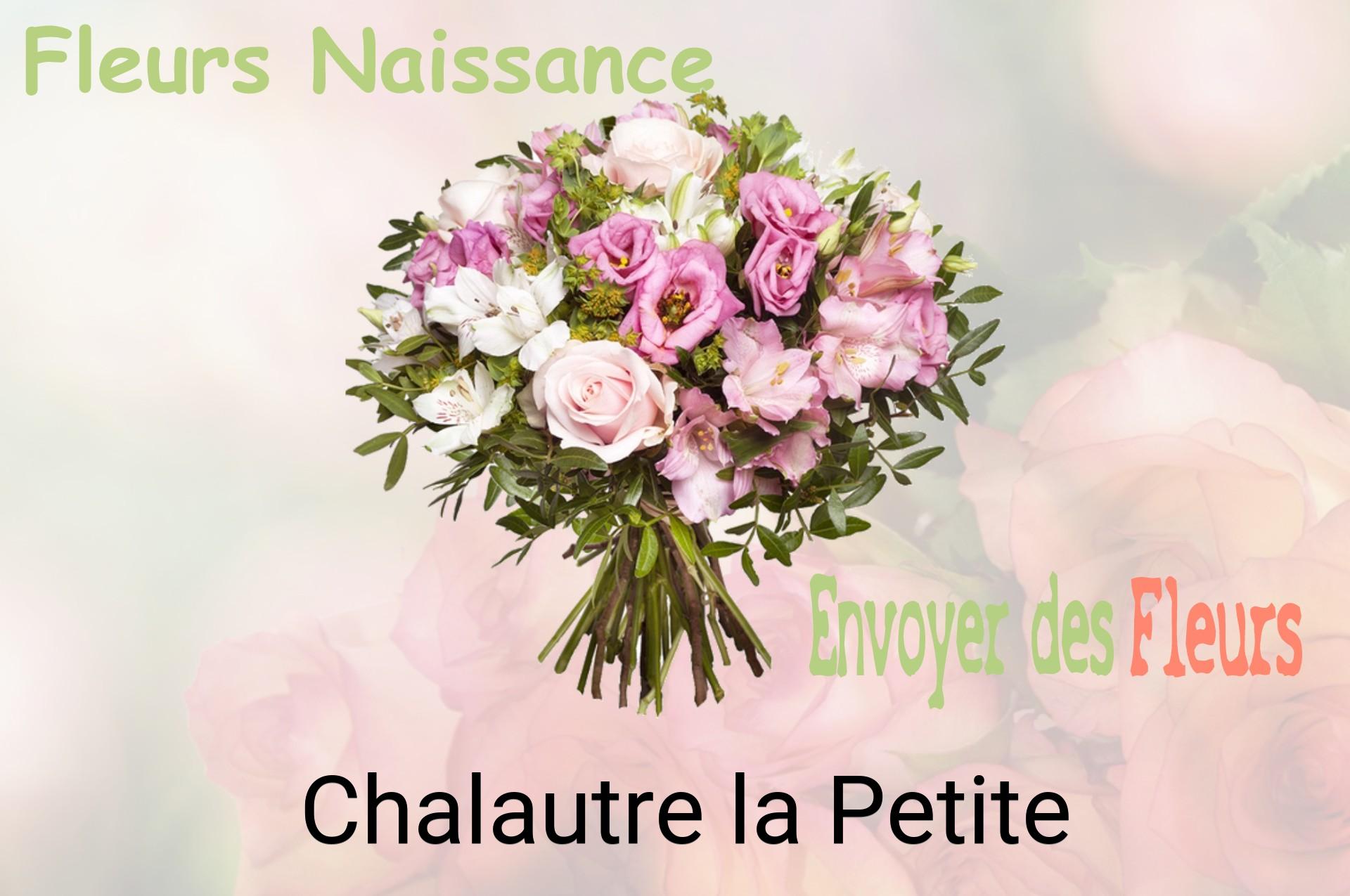 Bouquet de fleurs de naissance livré à Chalautre-la-Petite